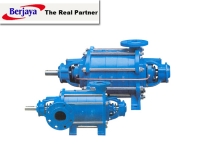 Multistage Centrifugal Pump
