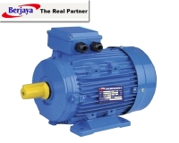 Three Phase Induction Motor