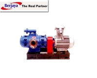 Marine Double Screw Pump