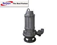 Waste Water and Sewage Pumps